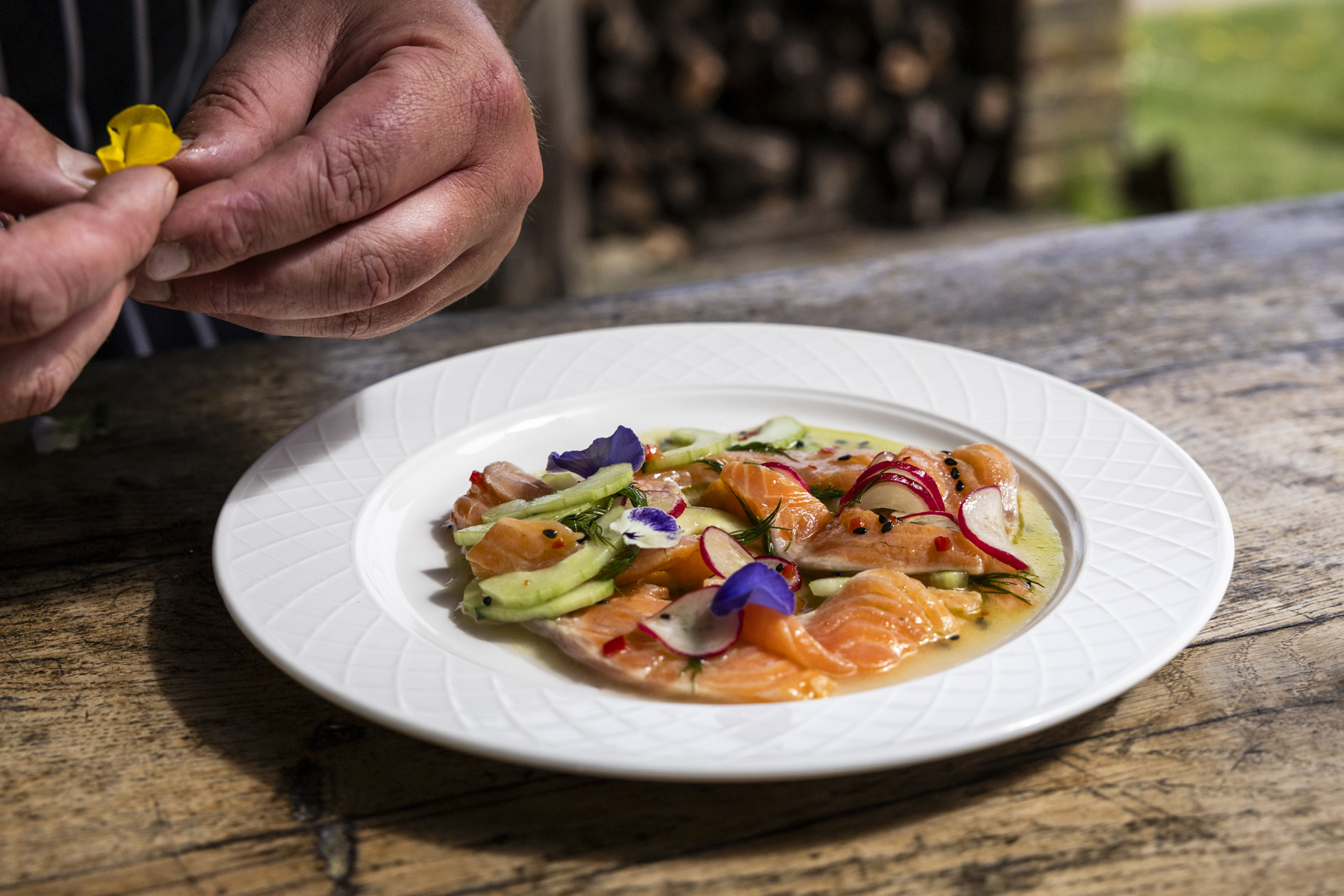 Chalk Stream Trout Ceviche Journal